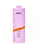 amika - Big Hit Volumizing Shampoo - 1000ml