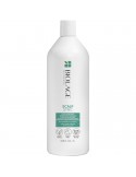 Matrix Biolage Scalp Sync Pyrithione Zinc Antidandruff Shampoo - 1000ml