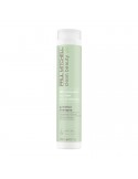 Paul Mitchell - Clean Beauty - Anti-Frizz Shampoo - 250ml