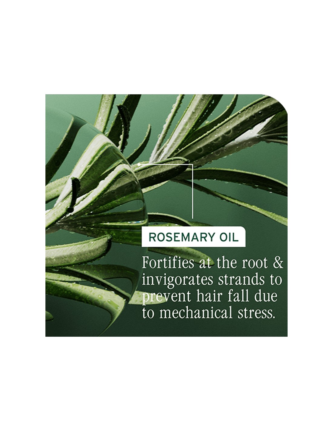 Matrix Biolage - Full Rescue -... Matrix Biolage - Full Rescue -...