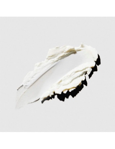 Paul Mitchell - Tea Tree Special -...