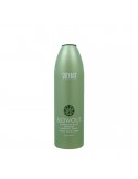 Surface - Blowout Shampoo - 295ml