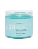 BCLspa - Arnica + Aloe Critical Repair Sugar Scrub - 454g