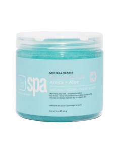 BCLspa - Arnica + Aloe Critical Repair Sugar Scrub - 454g