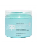 BCLspa - Arnica + Aloe Critical Repair Massage Cream - 473ml