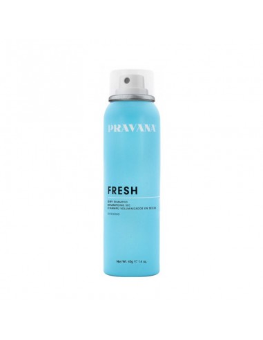 Pravana Fresh Dry Shampoo - 40g