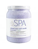 BCLspa Lavender + Mint Dead Sea Salt Soak - 1814g