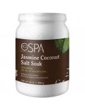 Jasmine Coconut Dead Sea Salt Soak - 1814g