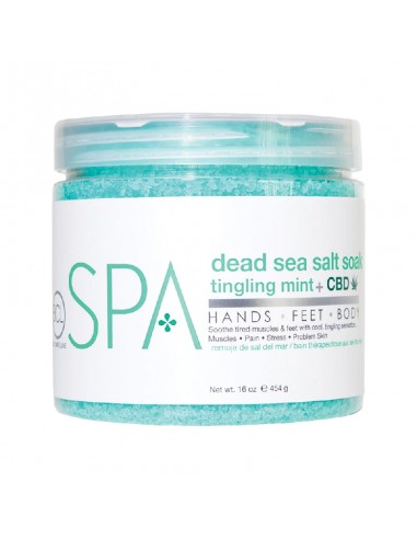 BCLspa - Tingling Mint + CBD Dead Sea Salt Soak - 454g