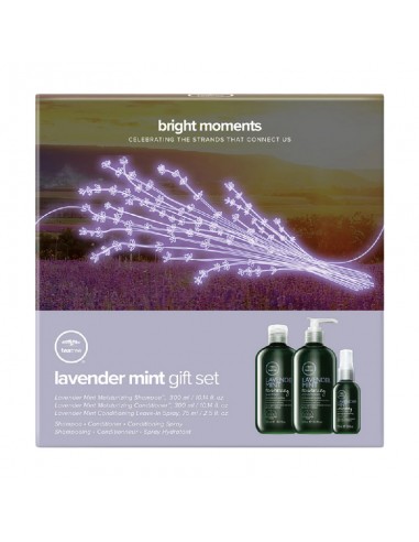 Paul Mitchell Tea Tree Lavender Mint Kit